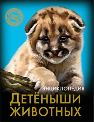Фото 44. Reima Комбинезон Kelo 510160 6988