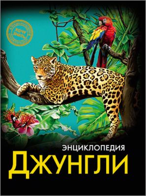 Фото 9. Купить Коляски Прогулочные Carol
