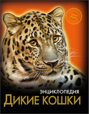 Фото 52. Детский Зимний Комбинезон Lassie By Reima