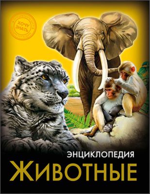 Фото 80. Автокресло Купить Киев Недорого