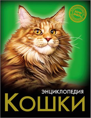 Фото 14. Коляска Для Новорожденного Купить Харьков