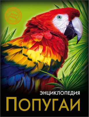 Фото 37. Фирма Куома Детская Обувь