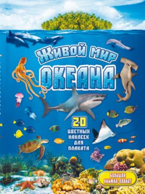Фото 49. Купить Подножку Для Инвалидной Коляски В Луганске