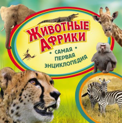 Фото 39. Купить Коляску Адамекс Галактик 2в1 50 50