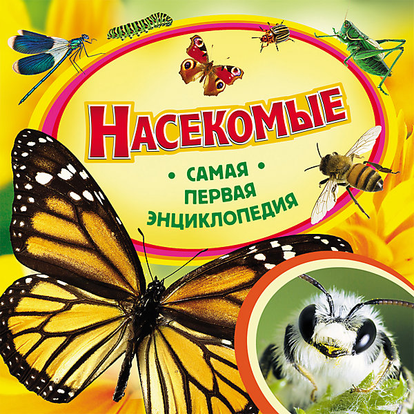 Самая первая энциклопедия Насекомые Самая первая энциклопедия НасекомыеЭнциклопедии<br>Эта великолепная серия познавательных книг для самых юных читателей дает ответы на множество вопросов об окружающем нас мире, которые так любят задавать дети. Самая первая энциклопедия - замечательный подарок и полезное пособие для занятий с детьми. Доступное изложение, яркие иллюстрации, занимательные рассказы, интересные факты. Познавайте мир с Самой первой энциклопедией!<br><br>Ширина мм: 225<br>Глубина мм: 225<br>Высота мм: 7<br>Вес г: 304<br>Возраст от месяцев: 36<br>Возраст до месяцев: 120<br>Пол: Унисекс<br>Возраст: Детский<br>SKU: 4782459