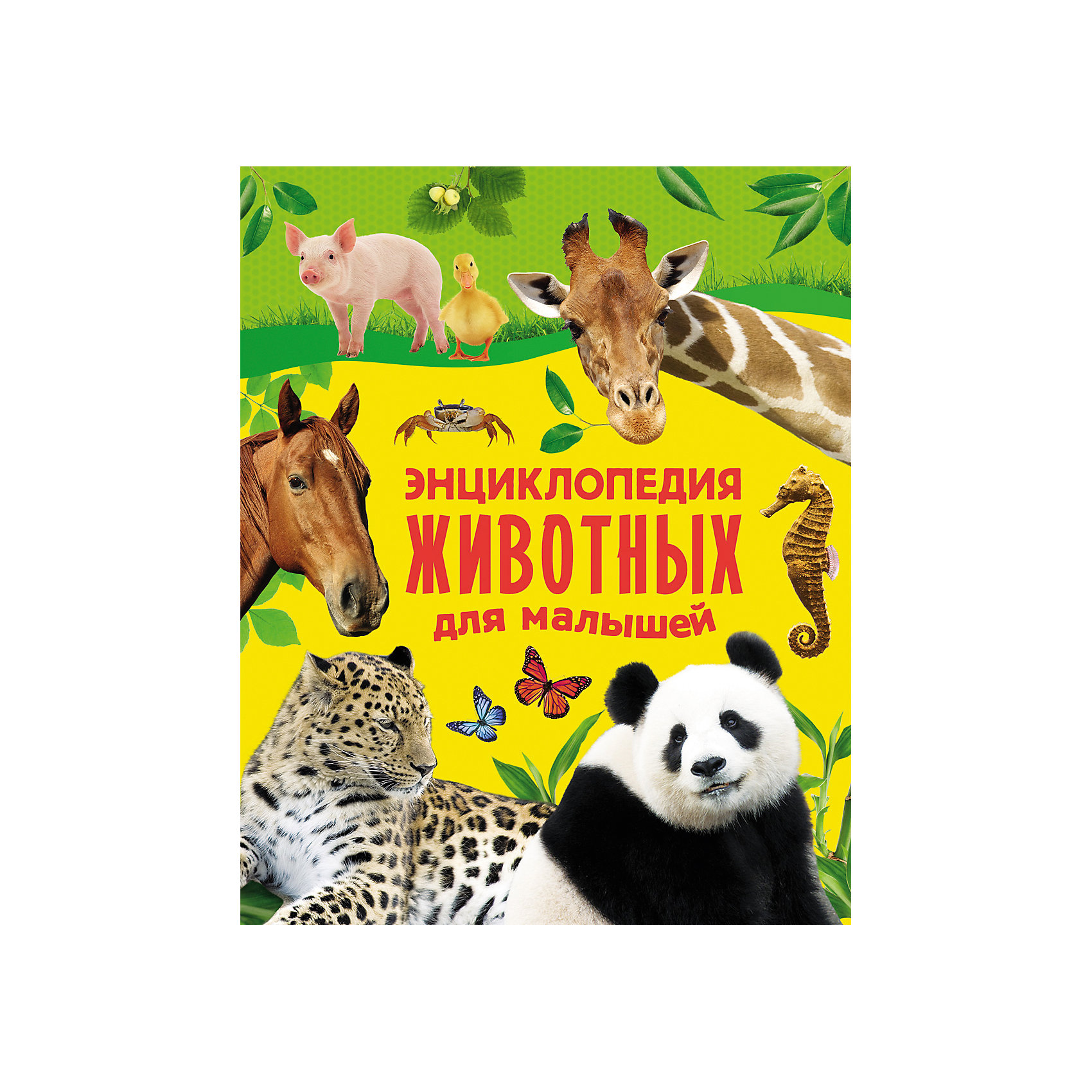 Энциклопедия животных для малышей Энциклопедия животных для малышейВ этой книге, ориентированной на детей дошкольного возраста, в увлекательной форме рассказывается о различных животных: диких и домашних, морских и самых необычных. Ребенок узнает много интересного о повадках животных, среде обитания и особенностях воспитания детенышей. Яркие иллюстрации, забавные рисунки, простые и понятные тексты. Книга станет настоящим подарком для любознательного малыша.<br><br>Ширина мм: 265<br>Глубина мм: 210<br>Высота мм: 15<br>Вес г: 650<br>Возраст от месяцев: 36<br>Возраст до месяцев: 60<br>Пол: Унисекс<br>Возраст: Детский<br>SKU: 4782478