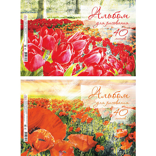 Альбом для рисования Красная поляна, А4, 40 л. Альбом для рисования Красная поляна, А4, 40 л.Бумажная продукция<br><br><br>Ширина мм: 299<br>Глубина мм: 210<br>Высота мм: 7<br>Вес г: 350<br>Возраст от месяцев: 36<br>Возраст до месяцев: 2147483647<br>Пол: Унисекс<br>Возраст: Детский<br>SKU: 4833190