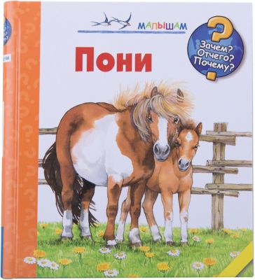 Фото 23. Куома Для Детей Последний Размер