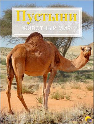 Фото 55. Автокресло Вэлдон Купить