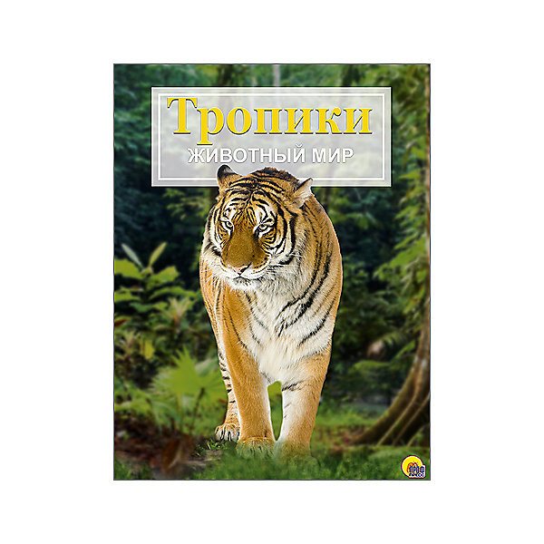 Энциклопедия Животный мир: Тропики Энциклопедия Животный мир: ТропикиДетские энциклопедии<br>С познавательной энциклопедией Животный мир. Тропики ребенок сможет узнать о животных, которые обитают в тропиках. Натуралистические рисунки и карты-врезки помогут понять где обитает животное, которое заинтересовало ребенка. Для удобства изучения в книге предусмотрены алфавитный указатель, словарь, фотографии и карта климатических поясов. С этой книгой ребенку будет приятно и интересно узнавать окружающий мир!<br>Дополнительная информация:<br>Издательство: Проф-Пресс<br>Год выпуска: 2016<br>Обложка: твердый переплет<br>Иллюстрации: цветные<br>Количество страниц: 48<br>ISBN:978-5-378-21450-1<br>Размер: 16,5х1х23,5 см<br>Вес: 508 грамм<br>Энциклопедию Животный мир. Тропики вы можете купить в нашем интернет-магазине.<br><br>Ширина мм: 235<br>Глубина мм: 10<br>Высота мм: 165<br>Вес г: 508<br>Возраст от месяцев: 72<br>Возраст до месяцев: 36<br>Пол: Унисекс<br>Возраст: Детский<br>SKU: 4905937