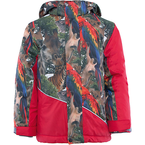 Куртка Huppa Куртка HuppaВерхняя одежда<br>Куртка ALEX Huppa(Хуппа).<br><br>Утеплитель: 100% полиэстер, 300 гр.<br><br>Температурный режим: до -30 градусов. Степень утепления – высокая. <br><br>* Температурный режим указан приблизительно — необходимо, прежде всего, ориентироваться на ощущения ребенка. Температурный режим работает в случае соблюдения правила многослойности – использования флисовой поддевы и термобелья.<br><br>Согреет ребенка даже в очень холодную зиму, а необычный дизайн привлечет внимание и придаст уверенности в себе!<br><br>Особенности:<br>-синтетический утеплитель HuppaTherm отлично сохраняет форму, легко стирается и хорошо сохнет<br>-водонепроницаемая дышащая мембрана<br>-при проклеивании швов использована водостойкая лента для повышения водонепроницаемости<br>-прочная и долговечная ткань<br>-большой капюшон и вместительные карманы<br>-светоотражающие элементы для снижения вероятности несчастных случаев в темное время суток<br>-отстегивающийся капюшон<br><br>Дополнительная информация:<br>Материал: 100% полиэстер<br>Подкладка: флис, тафта - 100% полиэстер<br>Цвет: красный<br><br>Куртку ALEX Huppa(Хуппа) вы можете приобрести в нашем интернет-магазине.<br><br>Ширина мм: 356<br>Глубина мм: 10<br>Высота мм: 245<br>Вес г: 519<br>Цвет: красный<br>Возраст от месяцев: 48<br>Возраст до месяцев: 60<br>Пол: Унисекс<br>Возраст: Детский<br>Размер: 110,128,122,116,104,140,134<br>SKU: 4928273