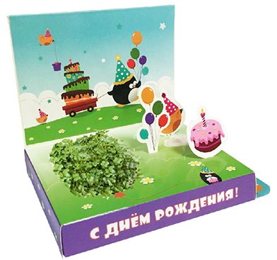 Фото 11. Комплект Reima Set 723675 Для Мальчика