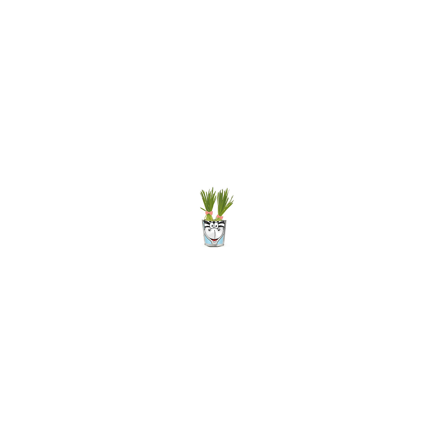 Набор для выращивания Сафари - Зебра Happy Plant Набор для выращивания Сафари - Зебра Happy PlantHappy Plant Зебра.<br><br>Характеристики:<br><br>• научит ребенка выращивать растения и ухаживать за ними<br>• развивает фантазию <br>• яркий оригинальный дизайн<br>• качественные семена<br>• в комплекте: пакет-горшочек, органический субстрат для посадки, семена, лопатка, инструкция<br>• размер: 18х13 см<br>• объем: 500 мл<br>• Вес: 230 грамм<br><br>Забавная Зебра научит ребенка ухаживать за растениями. С помощью инструкции ребенок с радостью посадит семена и будет наблюдать за ростом травки. Ее можно подстригать, придавая различные формы. Кроме того, Вы сможете придумывать зебре различные прически. Такая веселая зебра должна быть у каждого юного садовода!<br><br>Happy Plant Зебра Вы можете купить в нашем интернет-магазине.<br><br>Ширина мм: 180<br>Глубина мм: 130<br>Высота мм: 80<br>Вес г: 230<br>Возраст от месяцев: 168<br>Возраст до месяцев: 240<br>Пол: Унисекс<br>Возраст: Детский<br>SKU: 5053995