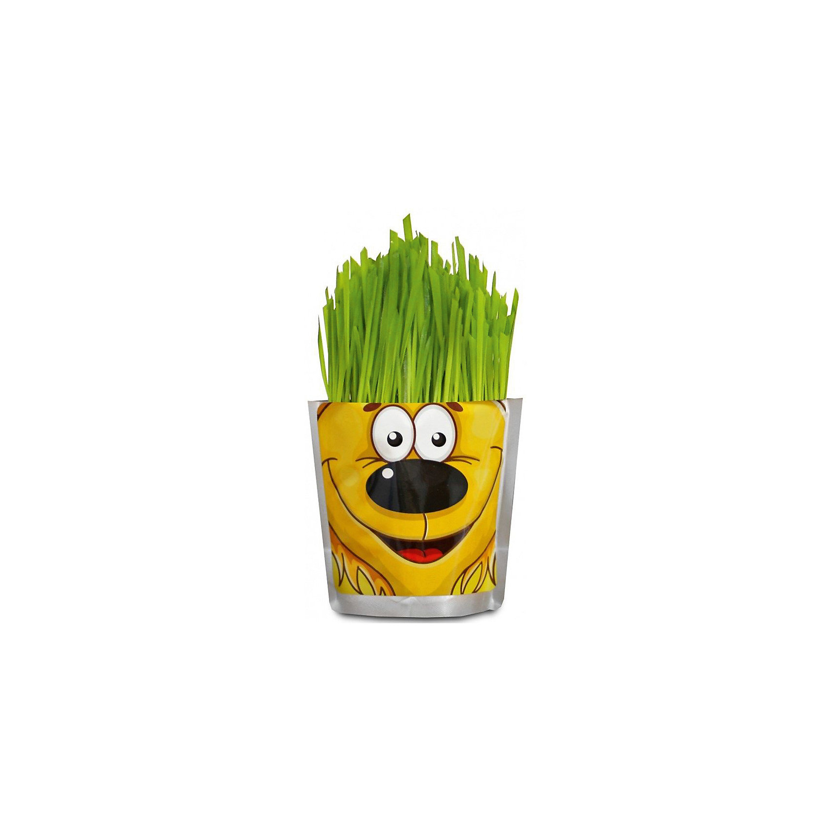 Набор для выращивания Сафари - Львенок Happy Plant Набор для выращивания Сафари - Львенок Happy PlantНаборы для выращивания растений<br>Happy Plant Львенок.<br><br>Характеристики:<br><br>• научит ребенка выращивать растения и ухаживать за ними<br>• развивает фантазию <br>• яркий оригинальный дизайн<br>• качественные семена<br>• в комплекте: пакет-горшочек, органический субстрат для посадки, семена, лопатка, инструкция<br>• размер: 18х13 см<br>• объем: 500 мл<br>• Вес: 230 грамм<br><br>Забавный Львенок научит ребенка ухаживать за растениями. С помощью инструкции ребенок с радостью посадит семена и будет наблюдать за ростом травки. Ее можно подстригать, придавая различные формы. Кроме того, Вы сможете придумывать львенку различные прически. Такой веселый львенок должен быть у каждого юного садовода!<br><br>Happy Plant Львенок, Вы можете купить в нашем интернет-магазине.<br><br>Ширина мм: 180<br>Глубина мм: 130<br>Высота мм: 80<br>Вес г: 230<br>Возраст от месяцев: 168<br>Возраст до месяцев: 240<br>Пол: Унисекс<br>Возраст: Детский<br>SKU: 5053996