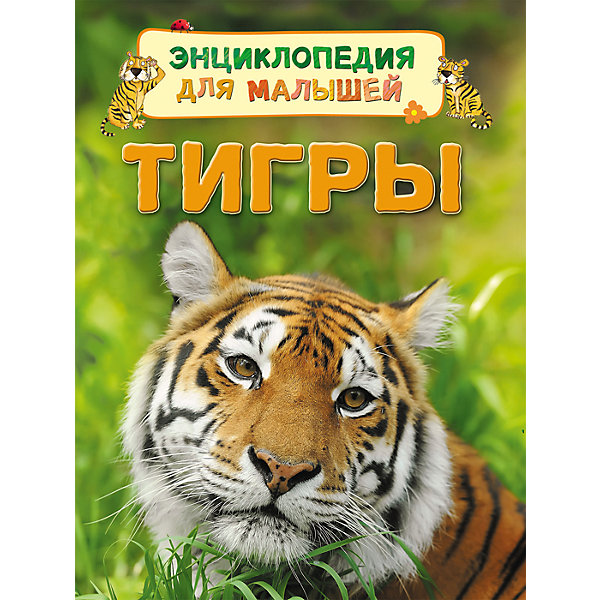 Энциклопедия для малышей Тигры Энциклопедия для малышей ТигрыДетские энциклопедии<br>Энциклопедия для малышей Тигры<br><br>Характеристики:<br><br>- издательство Росмэн<br>- количество страниц: 32<br>- формат: 22 * 0,7 * 17 см.<br>- Тип обложки: 7Бц – твердая целлофинированная<br>- Иллюстрации: цветные<br>- вес: 190 гр.<br><br>Книга Тигры из серии Энциклопедия для малышей придет по вкусу как любителям серии, так и новичкам. Эта детская книга включает в себя множество цветных иллюстраций, которые делают информацию в книге интересной, наглядной и запоминающейся. Книга расскажет о тиграх и какие они бывают, о том, как они произошли и где они обитают. Книга расскажет о строении тела тигров и об особенностях их жизни. Энциклопедия расскажет о маленьких тигрятах и поможет понять в чем сходства и отличия тигров от домашних кошек.<br><br>Энциклопедию для малышей Тигры можно купить в нашем интернет-магазине.<br><br>Ширина мм: 220<br>Глубина мм: 167<br>Высота мм: 7<br>Вес г: 190<br>Возраст от месяцев: 36<br>Возраст до месяцев: 72<br>Пол: Унисекс<br>Возраст: Детский<br>SKU: 5109700