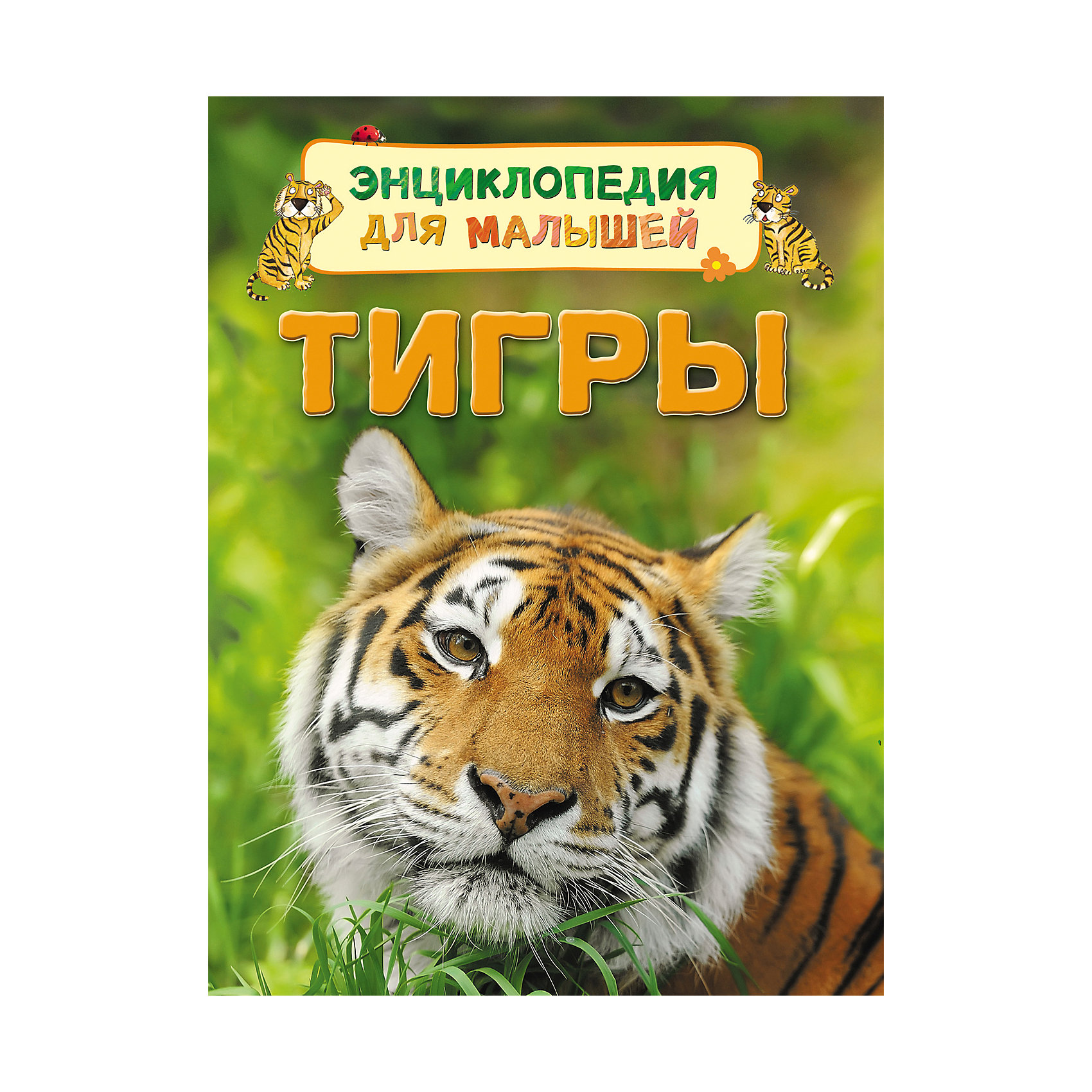 Энциклопедия для малышей Тигры Энциклопедия для малышей ТигрыЭнциклопедии о животных<br>Энциклопедия для малышей Тигры<br><br>Характеристики:<br><br>- издательство Росмэн<br>- количество страниц: 32<br>- формат: 22 * 0,7 * 17 см.<br>- Тип обложки: 7Бц – твердая целлофинированная<br>- Иллюстрации: цветные<br>- вес: 190 гр.<br><br>Книга Тигры из серии Энциклопедия для малышей придет по вкусу как любителям серии, так и новичкам. Эта детская книга включает в себя множество цветных иллюстраций, которые делают информацию в книге интересной, наглядной и запоминающейся. Книга расскажет о тиграх и какие они бывают, о том, как они произошли и где они обитают. Книга расскажет о строении тела тигров и об особенностях их жизни. Энциклопедия расскажет о маленьких тигрятах и поможет понять в чем сходства и отличия тигров от домашних кошек.<br><br>Энциклопедию для малышей Тигры можно купить в нашем интернет-магазине.<br><br>Ширина мм: 220<br>Глубина мм: 167<br>Высота мм: 7<br>Вес г: 190<br>Возраст от месяцев: 36<br>Возраст до месяцев: 72<br>Пол: Унисекс<br>Возраст: Детский<br>SKU: 5109700