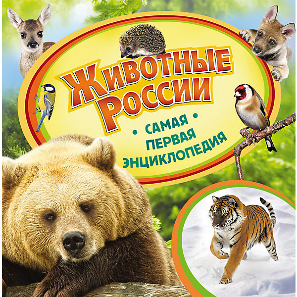 Самая первая энциклопедия Животные России Самая первая энциклопедия Животные РоссииДетские энциклопедии<br>Самая первая энциклопедия Животные России<br><br>Характеристики:<br><br>- издательство Росмэн<br>- количество страниц: 36<br>- формат: 23 * 0,5 * 23 см.<br>- Тип обложки: 7Бц – твердая целлофинированная<br>- Иллюстрации: цветные<br>- вес: 307 гр.<br><br>Книга Животные России из серии Самая первая энциклопедия придет по вкусу как любителям серии, так и новичкам. Эта детская книга включает в себя множество цветных иллюстраций, которые делают информацию в книге интересной, наглядной и запоминающейся. Книга расскажет о животных из разных природных зон России, какие они бывают, о том, как они произошли и где именно они обитают. Книга расскажет об обезьянках ёжиках и лисичках, о журавлях и диких кошках. Также имеются и редкие животные, такие как амурский тигр и утка мандаринка. Энциклопедия описывает особенности жизни животных, живущих на территории нашей страны и помогает узнать много нового, расширить кругозор и словарный запас малыша. <br><br>Самую первую энциклопедию Животные России можно купить в нашем интернет-магазине.<br><br>Ширина мм: 225<br>Глубина мм: 225<br>Высота мм: 5<br>Вес г: 307<br>Возраст от месяцев: 36<br>Возраст до месяцев: 72<br>Пол: Унисекс<br>Возраст: Детский<br>SKU: 5109702