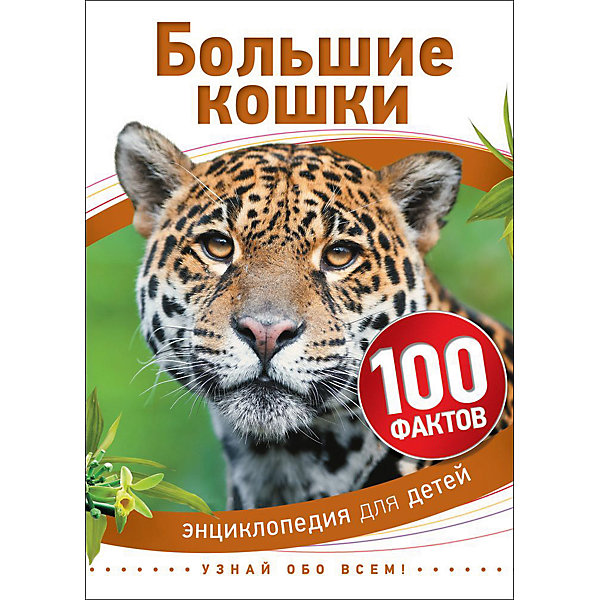 Большие кошки (100 фактов) Большие кошки (100 фактов)Детские энциклопедии<br>Характеристики товара:<br><br>- цвет: разноцветный;<br>- материал: бумага;<br>- страниц: 48;<br>- формат: 17 х 21 см;<br>- обложка: твердая;<br>- иллюстрации.<br><br>Эта интересная книга с иллюстрациями станет отличным подарком для ребенка. Она содержит в себе ответы на вопросы, которые интересуют малышей. Всё представлено в очень простой форме! Талантливый иллюстратор дополнил книгу качественными рисунками, которые помогают ребенку понять суть многих вещей в нашем мире. Удивительные и интересные факты помогут привить любовь к учебе!<br>Чтение - отличный способ активизации мышления, оно помогает ребенку развивать зрительную память, концентрацию внимания и воображение. Издание произведено из качественных материалов, которые безопасны даже для самых маленьких.<br><br>Книгу Большие кошки (100 фактов) от компании Росмэн можно купить в нашем интернет-магазине.<br><br>Ширина мм: 220<br>Глубина мм: 165<br>Высота мм: 7<br>Вес г: 200<br>Возраст от месяцев: 60<br>Возраст до месяцев: 84<br>Пол: Унисекс<br>Возраст: Детский<br>SKU: 5109946