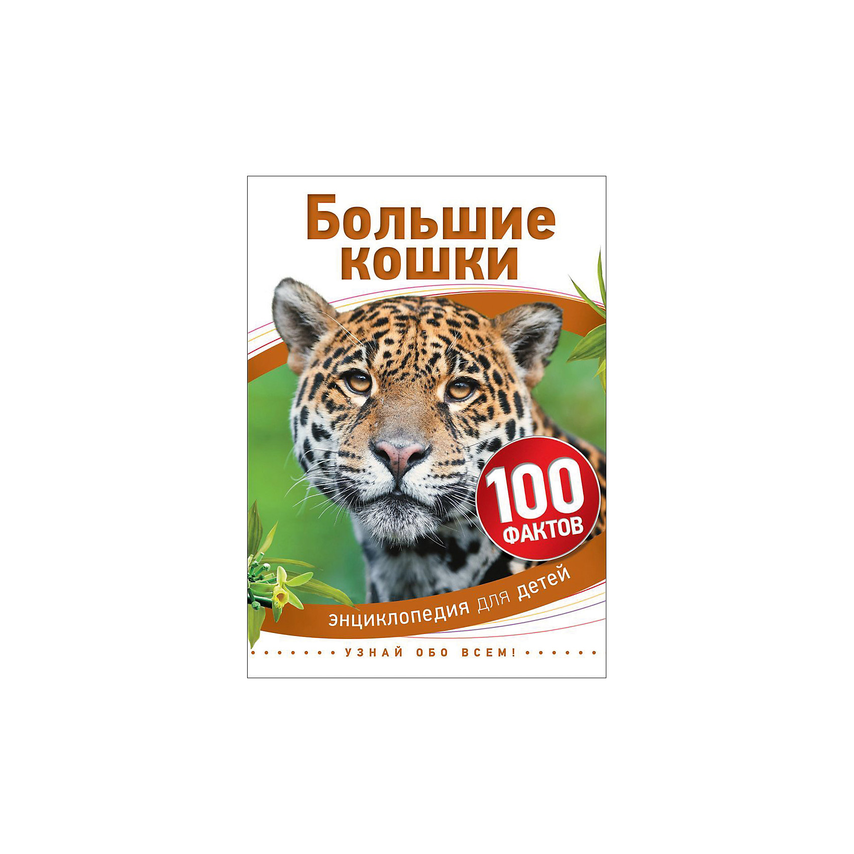 Большие кошки (100 фактов) Большие кошки (100 фактов)Энциклопедии о животных<br>Характеристики товара:<br><br>- цвет: разноцветный;<br>- материал: бумага;<br>- страниц: 48;<br>- формат: 17 х 21 см;<br>- обложка: твердая;<br>- иллюстрации.<br><br>Эта интересная книга с иллюстрациями станет отличным подарком для ребенка. Она содержит в себе ответы на вопросы, которые интересуют малышей. Всё представлено в очень простой форме! Талантливый иллюстратор дополнил книгу качественными рисунками, которые помогают ребенку понять суть многих вещей в нашем мире. Удивительные и интересные факты помогут привить любовь к учебе!<br>Чтение - отличный способ активизации мышления, оно помогает ребенку развивать зрительную память, концентрацию внимания и воображение. Издание произведено из качественных материалов, которые безопасны даже для самых маленьких.<br><br>Книгу Большие кошки (100 фактов) от компании Росмэн можно купить в нашем интернет-магазине.<br><br>Ширина мм: 220<br>Глубина мм: 165<br>Высота мм: 7<br>Вес г: 200<br>Возраст от месяцев: 60<br>Возраст до месяцев: 84<br>Пол: Унисекс<br>Возраст: Детский<br>SKU: 5109946
