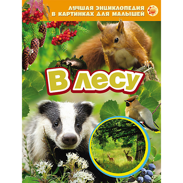 В лесу В лесуЭнциклопедии<br>Характеристики товара:<br><br>- цвет: разноцветный;<br>- материал: бумага;<br>- страниц: 24;<br>- формат: 20 х 26 см;<br>- обложка: твердая;<br>- цветные иллюстрации.<br><br>Эта интересная книга с иллюстрациями станет отличным подарком для ребенка. Она содержит в себе яркие фотографии, которые помогут малышам познакомиться со многими предметами из окружающего мира.<br>Чтение и рассматривание картинок даже в юном возрасте помогает ребенку развивать зрительную память, концентрацию внимания и воображение. Издание произведено из качественных материалов, которые безопасны даже для самых маленьких.<br><br>Энциклопедию в картинках для малышей В лесу от компании Росмэн можно купить в нашем интернет-магазине.<br><br>Ширина мм: 265<br>Глубина мм: 205<br>Высота мм: 7<br>Вес г: 291<br>Возраст от месяцев: 0<br>Возраст до месяцев: 36<br>Пол: Унисекс<br>Возраст: Детский<br>SKU: 5109954