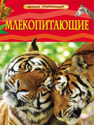Фото 52. Коляска Адамекс Лоран 2 В 1 Купить