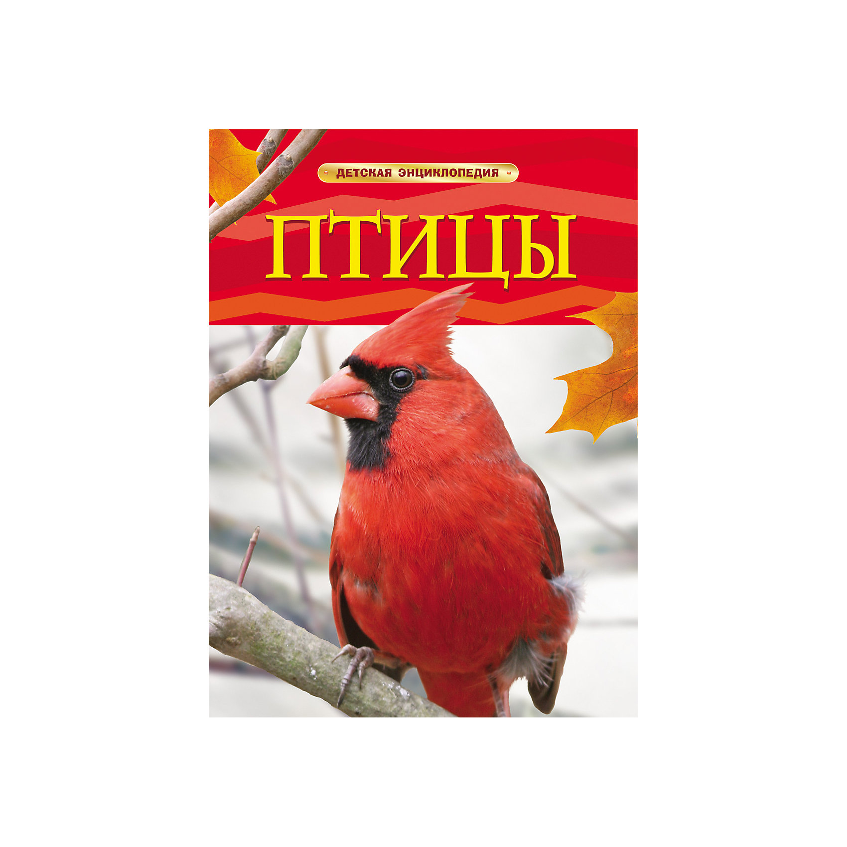 Детская энциклопедия Птицы Детская энциклопедия ПтицыЭнциклопедии о животных<br>Характеристики товара:<br><br>- цвет: разноцветный;<br>- материал: бумага;<br>- страниц: 48;<br>- формат: 20 x 26 см;<br>- обложка: твердая;<br>- цветные иллюстрации.<br><br>Эта интересная книга с иллюстрациями станет отличным подарком для ребенка. Она содержит в себе ответы на вопросы, которые интересуют малышей. Всё представлено в очень простой форме! Талантливый иллюстратор дополнил книгу качественными рисунками, которые помогают ребенку понять суть многих вещей в нашем мире. Удивительные и интересные факты помогут привить любовь к учебе!<br>Чтение - отличный способ активизации мышления, оно помогает ребенку развивать зрительную память, концентрацию внимания и воображение. Издание произведено из качественных материалов, которые безопасны даже для самых маленьких.<br><br>Книгу Птицы, Детская энциклопедия от компании Росмэн можно купить в нашем интернет-магазине.<br><br>Ширина мм: 265<br>Глубина мм: 205<br>Высота мм: 10<br>Вес г: 337<br>Возраст от месяцев: 60<br>Возраст до месяцев: 84<br>Пол: Унисекс<br>Возраст: Детский<br>SKU: 5109973