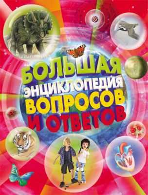 Фото 43. Магазин Колясок На Севере Москвы