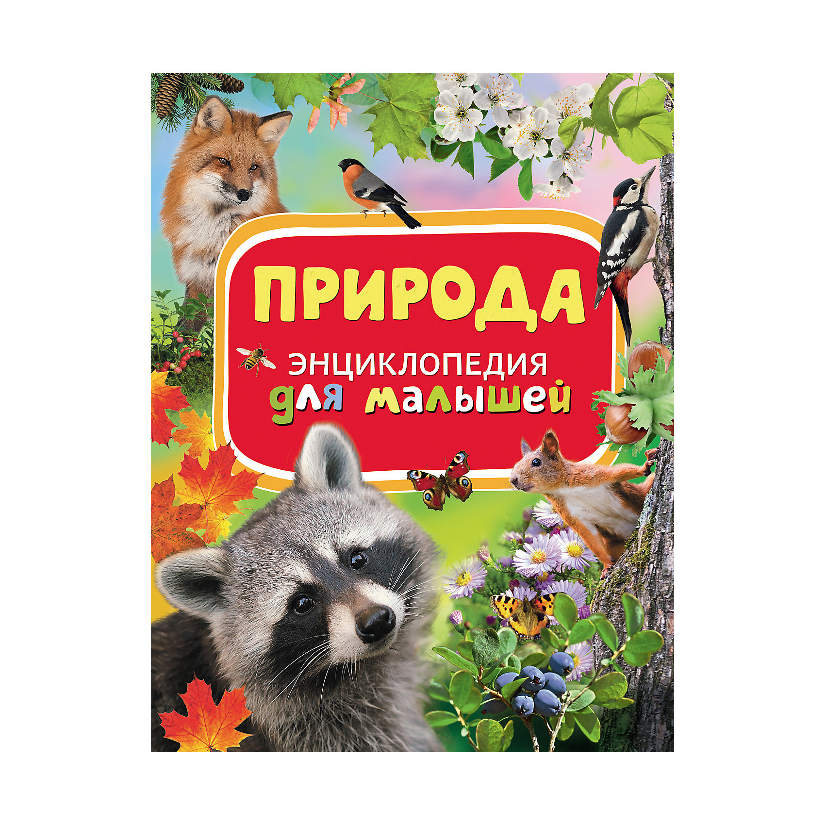 Природа, Энциклопедия для малышей Природа, Энциклопедия для малышейЭнциклопедии для малышей<br>Характеристики товара:<br><br>- цвет: разноцветный;<br>- материал: бумага;<br>- страниц: 88;<br>- формат: 22 х 29 см;<br>- обложка: твердая;<br>- цветные иллюстрации.<br><br>Эта интересная книга с иллюстрациями станет отличным подарком для ребенка. Она содержит в себе ответы на вопросы, которые интересуют малышей. Всё представлено в очень простой форме! Талантливый иллюстратор дополнил книгу качественными рисунками, которые помогают ребенку понять суть многих вещей в нашем мире. Удивительные и интересные факты помогут привить любовь к учебе!<br>Чтение - отличный способ активизации мышления, оно помогает ребенку развивать зрительную память, концентрацию внимания и воображение. Издание произведено из качественных материалов, которые безопасны даже для самых маленьких.<br><br>Книгу Природа, Энциклопедия для малышей от компании Росмэн можно купить в нашем интернет-магазине.<br><br>Ширина мм: 282<br>Глубина мм: 217<br>Высота мм: 10<br>Вес г: 478<br>Возраст от месяцев: 36<br>Возраст до месяцев: 72<br>Пол: Унисекс<br>Возраст: Детский<br>SKU: 5110002