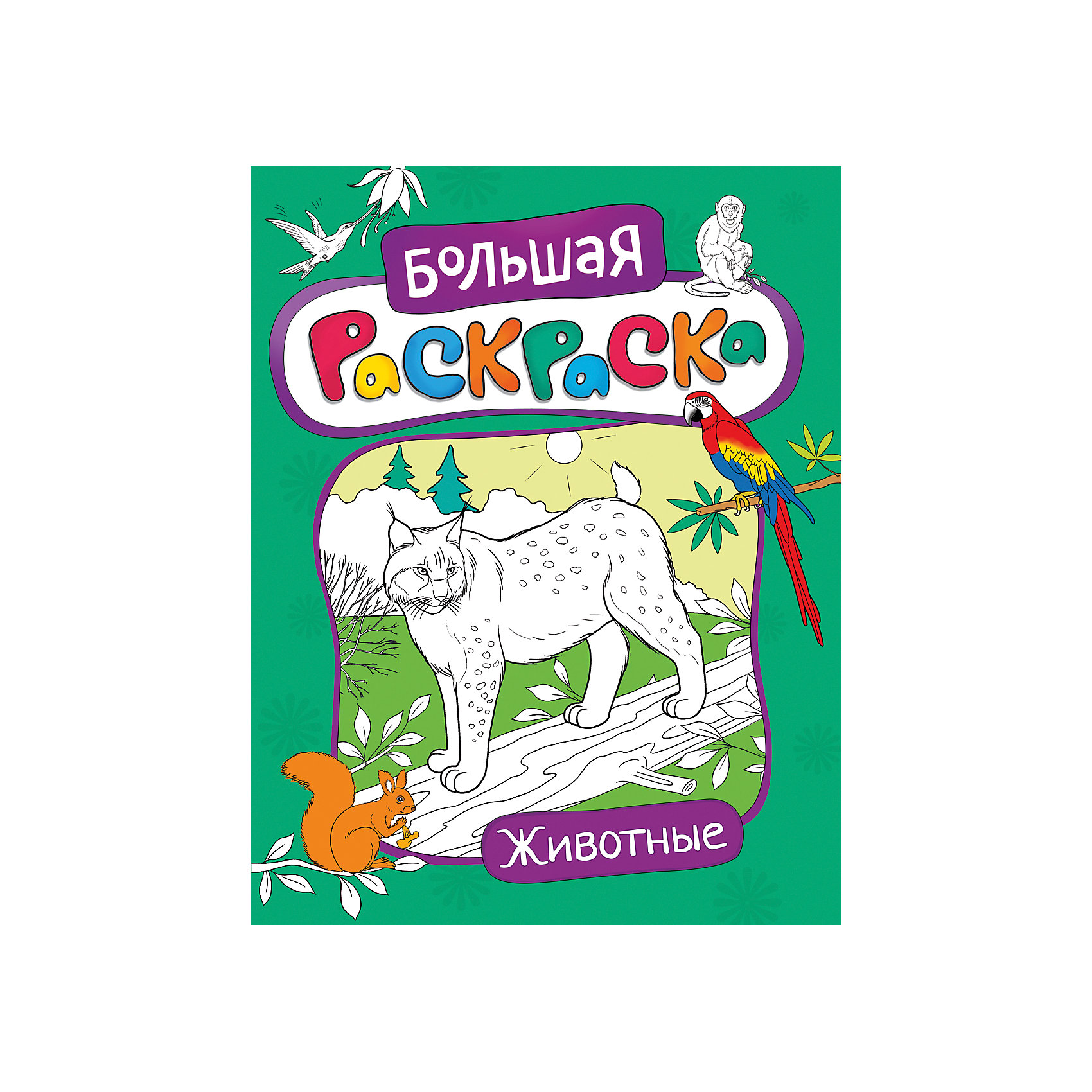 Большая раскраска. Животные Большая раскраска. ЖивотныеРосмэн<br>Характеристики товара:<br><br>- цвет: разноцветный;<br>- материал: бумага;<br>- страниц: 48;<br>- формат: 27.5 x 21 см;<br>- обложка: мягкая.<br><br>Эта раскраска станет отличным подарком для ребенка. Она помогает развить художественные навыки и интересно провести время. Особенность раскраски: картинок много, они очень красивые и на интересные детям темы.<br>Раскрашивание картинок даже в юном возрасте помогает ребенку развивать зрительную память, концентрацию внимания, мелкую моторику и цветовосприятие. Издание произведено из качественных материалов, которые безопасны даже для самых маленьких.<br><br>Издание Большая раскраска. Животные от компании Росмэн можно купить в нашем интернет-магазине.<br><br>Ширина мм: 275<br>Глубина мм: 210<br>Высота мм: 5<br>Вес г: 190<br>Возраст от месяцев: 60<br>Возраст до месяцев: 84<br>Пол: Унисекс<br>Возраст: Детский<br>SKU: 5110118