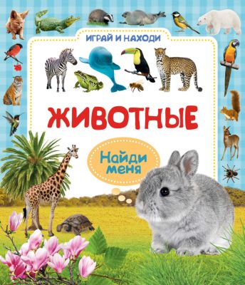 Фото 81. Куома Распродажа Низкие Цены Спб