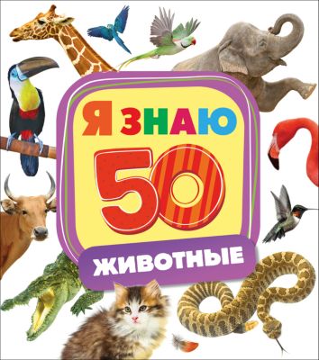 Фото 99. База Детских Колясок Москва