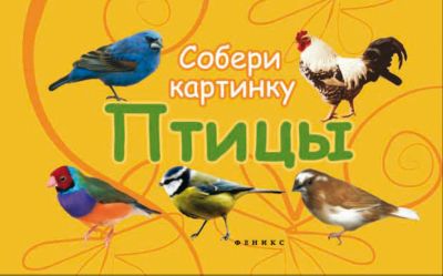 Фото 6. Комплект Зимний Reima С Цветочным Принтом