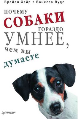 Фото 64. Куома 29 Размер Купить Распродажа