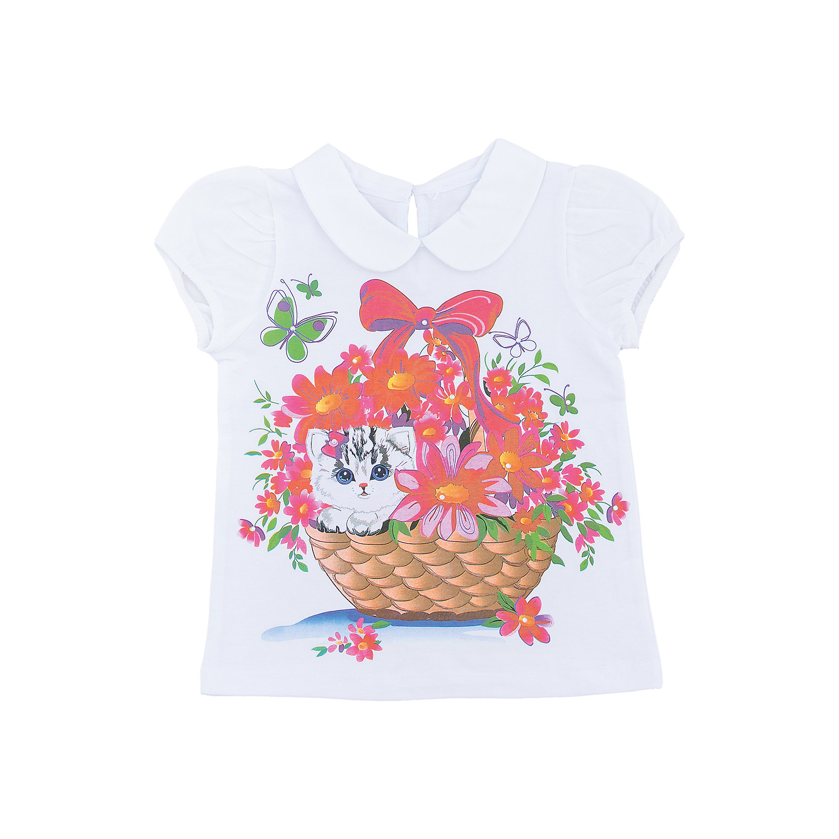 Футболка для девочки Soni Kids Футболка для девочки Soni KidsФутболки, топы<br>Футболка для девочки Soni Kids<br>Состав:<br>100% хлопок кулирная гладь, батист<br><br>Ширина мм: 157<br>Глубина мм: 13<br>Высота мм: 119<br>Вес г: 200<br>Цвет: белый<br>Возраст от месяцев: 60<br>Возраст до месяцев: 72<br>Пол: Женский<br>Возраст: Детский<br>Размер: 116,98,104,110<br>SKU: 5431954
