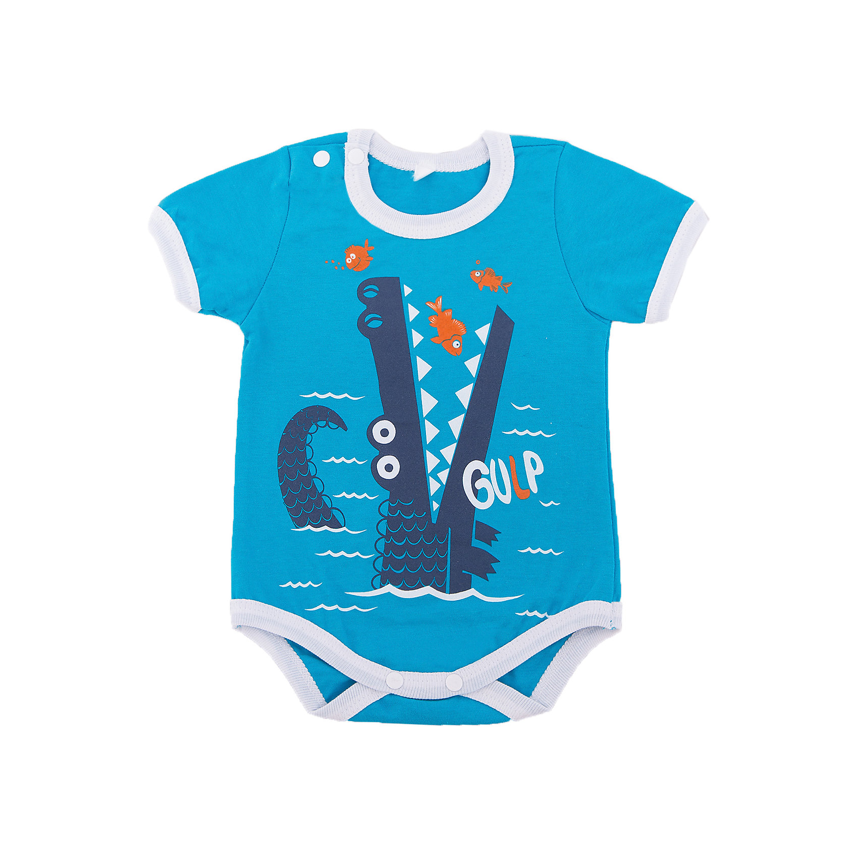 Боди для мальчика Soni Kids Боди для мальчика Soni KidsБоди<br>Боди для мальчика Soni Kids<br>Состав:<br>100% хлопок кулирная гладь<br><br>Ширина мм: 157<br>Глубина мм: 13<br>Высота мм: 119<br>Вес г: 200<br>Цвет: голубой<br>Возраст от месяцев: 6<br>Возраст до месяцев: 9<br>Пол: Мужской<br>Возраст: Детский<br>Размер: 74,80,62,68<br>SKU: 5432123