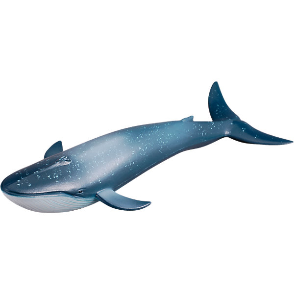 Голубой кит, XL (22см), Collecta Голубой кит, XL (22см), CollectaМир животных<br><br><br>Ширина мм: 200<br>Глубина мм: 10<br>Высота мм: 10<br>Вес г: 63<br>Возраст от месяцев: 36<br>Возраст до месяцев: 192<br>Пол: Унисекс<br>Возраст: Детский<br>SKU: 5534529