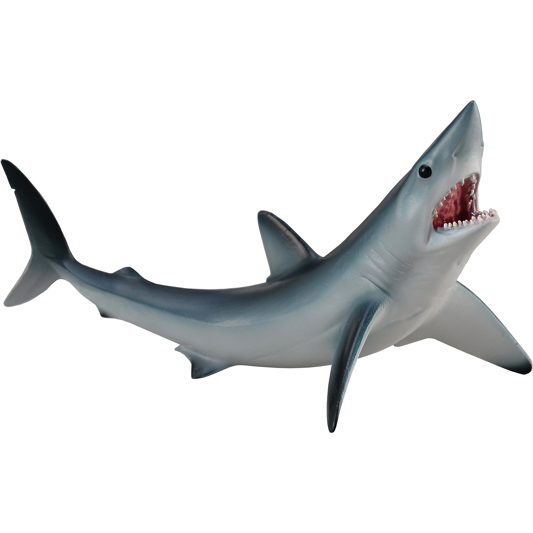 Акула Мако, M, Collecta Акула Мако, M, CollectaМир животных<br><br><br>Ширина мм: 200<br>Глубина мм: 10<br>Высота мм: 10<br>Вес г: 11<br>Возраст от месяцев: 36<br>Возраст до месяцев: 192<br>Пол: Унисекс<br>Возраст: Детский<br>SKU: 5534532