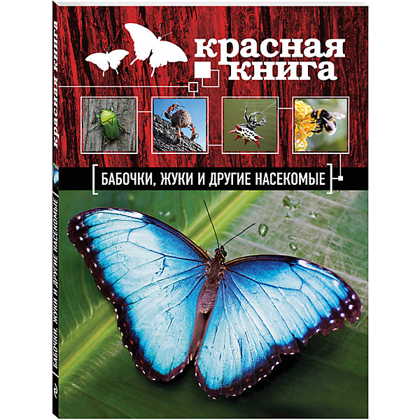 Красная книга: Бабочки, жуки и другие насекомые Красная книга: Бабочки, жуки и другие насекомыеДетские энциклопедии<br>Характеристики товара: <br><br>• ISBN: 9785699748136<br>• возраст от: 6 лет<br>• формат: 60x84/8<br>• бумага: мелованная<br>• обложка: твердая<br>• иллюстрации: цветные<br>• серия: Красная книга для больших и маленьких<br>• издательство: Эксмо<br>• автор: Ольга Юрьевна Харькова<br>• количество страниц: 96<br>• размеры: 28x0,6x21 см<br><br>Издание «Красная книга: Бабочки, жуки и другие насекомые» поможет детям узнать больше о красивых и интересных исчезающих видах насекомых.<br><br>Яркие фотографии, доступный язык, интересные факты и рассказы помогут привить ребенку любовь к природе, а также подстегнуть тягу к знаниям.<br><br>Издание «Красная книга: Бабочки, жуки и другие насекомые» можно купить в нашем интернет-магазине.<br><br>Ширина мм: 280<br>Глубина мм: 210<br>Высота мм: 10<br>Вес г: 654<br>Возраст от месяцев: 72<br>Возраст до месяцев: 168<br>Пол: Унисекс<br>Возраст: Детский<br>SKU: 5535083