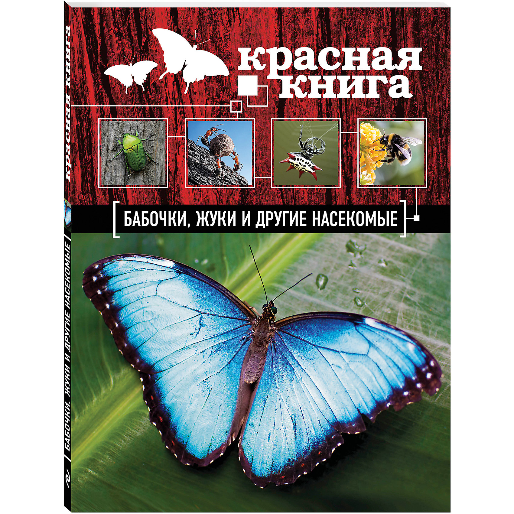 Красная книга: Бабочки, жуки и другие насекомые Красная книга: Бабочки, жуки и другие насекомыеЭнциклопедии о животных<br>Характеристики товара: <br><br>• ISBN: 9785699748136<br>• возраст от: 6 лет<br>• формат: 60x84/8<br>• бумага: мелованная<br>• обложка: твердая<br>• иллюстрации: цветные<br>• серия: Красная книга для больших и маленьких<br>• издательство: Эксмо<br>• автор: Ольга Юрьевна Харькова<br>• количество страниц: 96<br>• размеры: 28x0,6x21 см<br><br>Издание «Красная книга: Бабочки, жуки и другие насекомые» поможет детям узнать больше о красивых и интересных исчезающих видах насекомых.<br><br>Яркие фотографии, доступный язык, интересные факты и рассказы помогут привить ребенку любовь к природе, а также подстегнуть тягу к знаниям.<br><br>Издание «Красная книга: Бабочки, жуки и другие насекомые» можно купить в нашем интернет-магазине.<br><br>Ширина мм: 280<br>Глубина мм: 210<br>Высота мм: 10<br>Вес г: 654<br>Возраст от месяцев: 72<br>Возраст до месяцев: 168<br>Пол: Унисекс<br>Возраст: Детский<br>SKU: 5535083