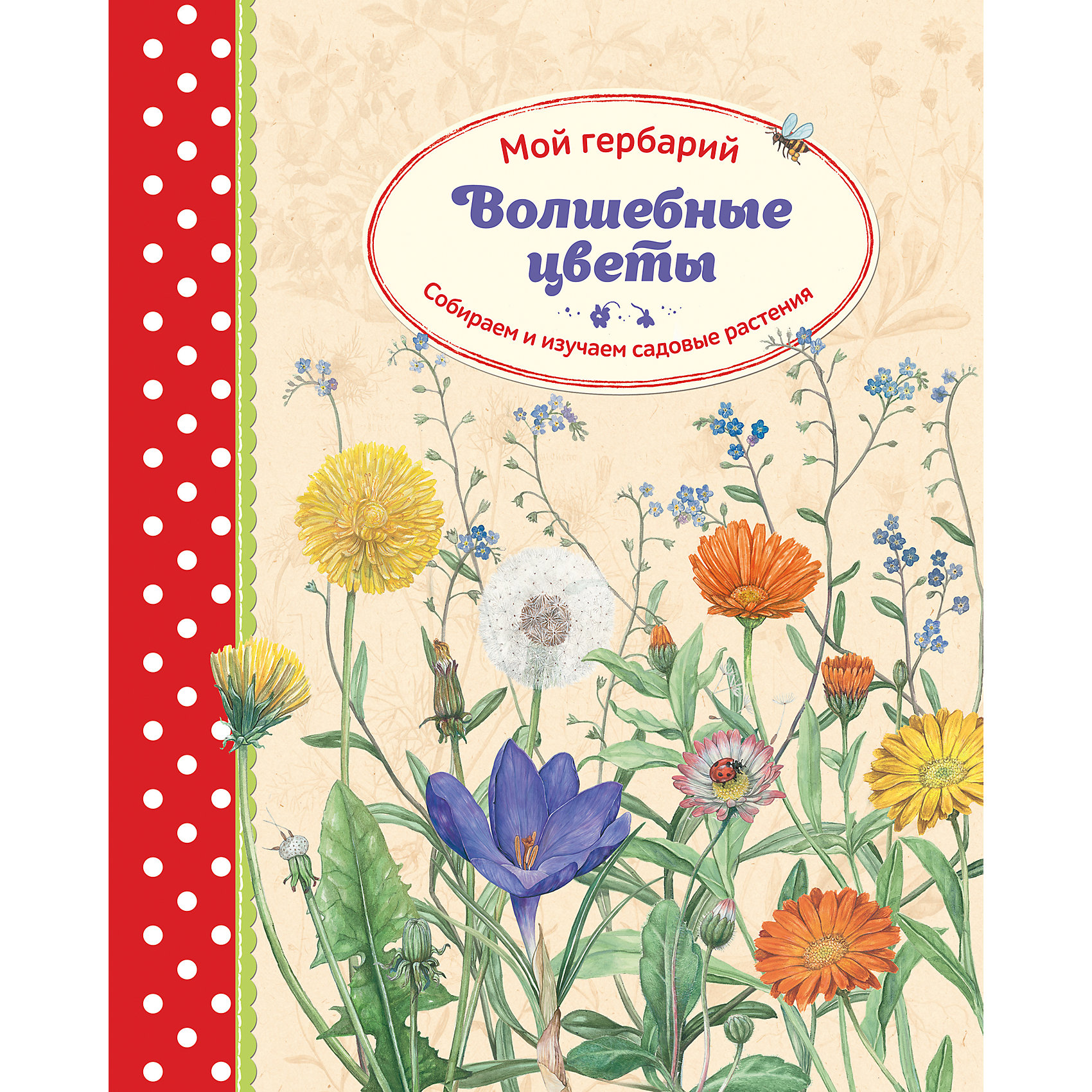 Волшебные цветы: Мой гербарий Волшебные цветы: Мой гербарийКниги по рукоделию<br>В этой книге представлены реалистичные иллюстрации 16 хорошо известных и всеми любимых садовых растений. Тот, кто давно мечтал создать свой собственный гербарий, найдёт в ней не только массу практических советов по сбору и высушиванию растений под прессом, но и с любовью оформленные странички для их хранения. Кроме того, в книге даются сведения по строению растений и другая ботаническая информация. А ещё в ней много идей для творчества с применением высушенных цветов и листьев.<br><br>Ширина мм: 320<br>Глубина мм: 255<br>Высота мм: 20<br>Вес г: 1032<br>Возраст от месяцев: 60<br>Возраст до месяцев: 2147483647<br>Пол: Унисекс<br>Возраст: Детский<br>SKU: 5535288