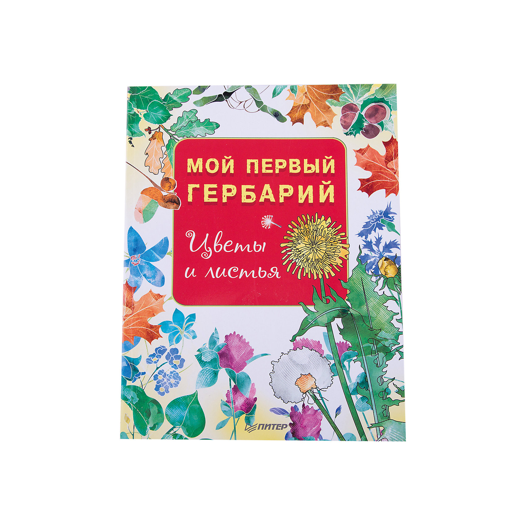 Книга Мой первый гербарий: Цветы и листья Книга Мой первый гербарий: Цветы и листьяКниги по рукоделию<br>Гербарий для самых маленьких - на каждой странице есть названия и изображения встречающихся в России лесных и полевых цветов, а также место для приклеивания высушенного образца.<br><br>Ширина мм: 252<br>Глубина мм: 195<br>Высота мм: 100<br>Вес г: 166<br>Возраст от месяцев: 72<br>Возраст до месяцев: 2147483647<br>Пол: Унисекс<br>Возраст: Детский<br>SKU: 5576704