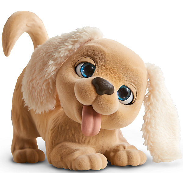 Интерактивная игрушка FurReal Friends Пушистый друг Щенок Голди Интерактивная игрушка FurReal Friends Пушистый друг Щенок ГолдиМягкие игрушки из мультфильмов<br>Характеристики:<br><br>• возраст: от 4 лет;<br>• материал: пластик, плюш;<br>• в комплекте: питомец, косточка;<br>• тип батареек: 2 батарейки LR44;<br>• наличие батареек: демонстрационные в комплекте;<br>• размер упаковки: 21,6х20,3х10,8 см;<br>• вес упаковки: 612 гр.;<br>• страна производитель: Китай.<br><br>Пушистый друг «Щенок Голди» FurReal Hasbro станет для ребенка самым настоящим питомцем. У золотистого пушистого щеночка завораживающие голубые глазки, пушистый хвост и длинные ушки.<br><br>Игрушка является интерактивной, что сделает игру с ней еще интересней. Если погладить щенка, то он завиляет хвостиком, захлопает глазками и подвигает головой. Во время игры он забавно гавкает. Игрушка приучит ребенка к заботе и ответственности о животных, подготовит к появлению настоящего питомца в доме.<br><br>Пушистого друга «Щенок Голди» FurReal Hasbro можно приобрести в нашем интернет-магазине.<br><br>Ширина мм: 108<br>Глубина мм: 203<br>Высота мм: 216<br>Вес г: 612<br>Возраст от месяцев: 48<br>Возраст до месяцев: 2147483647<br>Пол: Женский<br>Возраст: Детский<br>SKU: 6753145