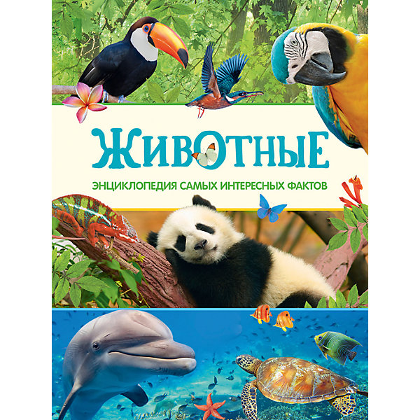 Энциклопедия Животные Энциклопедия ЖивотныеДетские энциклопедии<br>Энциклопедия Животные.<br><br>Характеристики:<br><br>• Для детей в возрасте: от 7 лет<br>• Авторы: С. Дэвидсон, М. Ануин<br>• Переводчик: В. В. Свечникова<br>• Издательство: Росмэн<br>• Тип обложки: 7Б - твердая (плотная бумага или картон)<br>• Иллюстрации: цветные<br>• Количество страниц: 128<br>• Размер: 282х220х11 мм.<br>• Вес: 713 гр.<br>• ISBN: 9785353082835<br><br>С этой книгой можно совершить кругосветное путешествие и познакомиться с обитателями всех уголков нашей планеты. В странствиях по континентам помогут цветные карты с указанными местами обитания диковинных и редких животных. На страницах энциклопедии читателей ждут любопытные факты, тесты с загадочными картинками, а самое главное - красивейшие фотографии диких животных.<br><br>Энциклопедию Животные можно купить в нашем интернет-магазине.<br><br>Ширина мм: 220<br>Глубина мм: 110<br>Высота мм: 282<br>Вес г: 713<br>Возраст от месяцев: 84<br>Возраст до месяцев: 2147483647<br>Пол: Унисекс<br>Возраст: Детский<br>SKU: 6758926