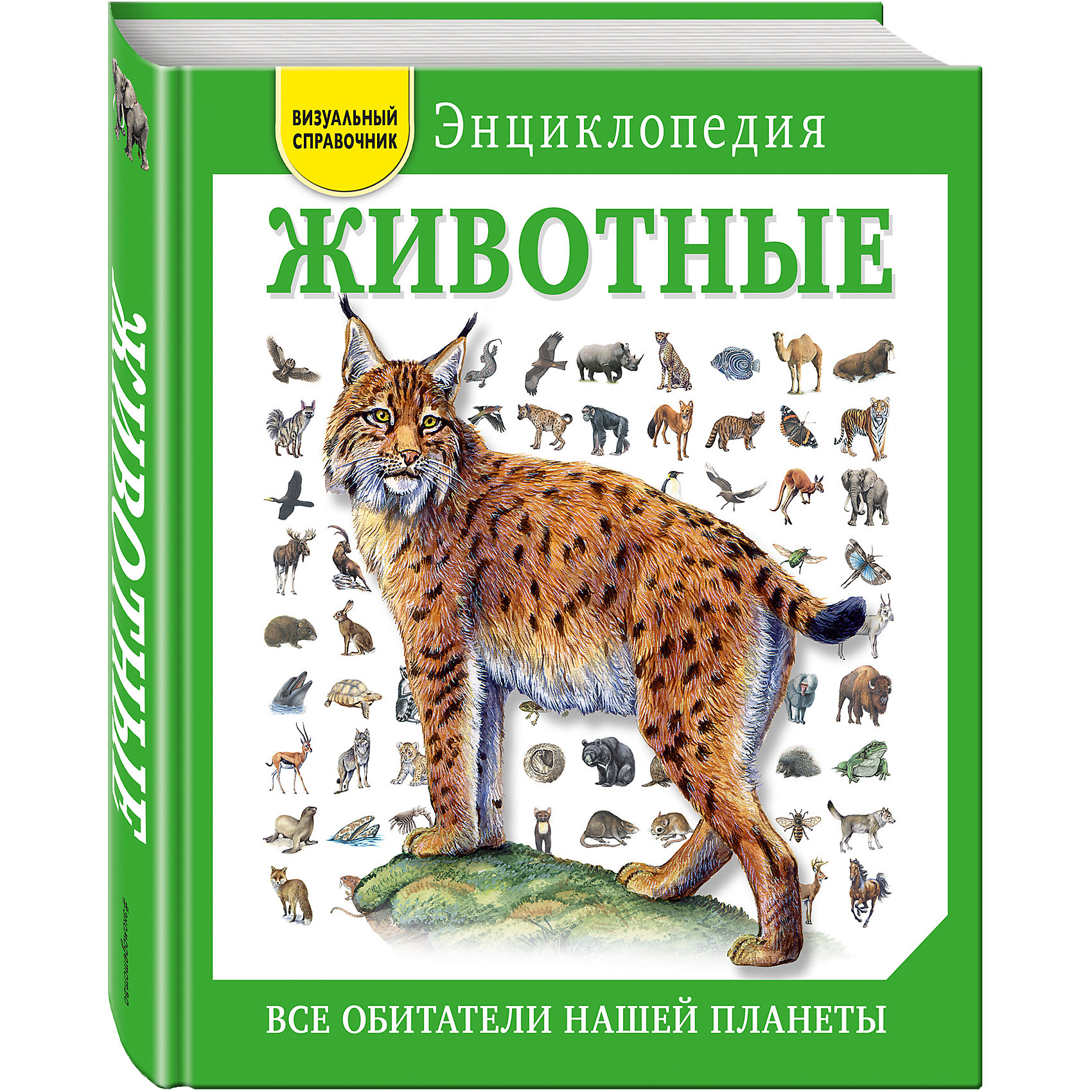 Животные- Все обитатели нашей планеты Животные- Все обитатели нашей планетыДетские энциклопедии<br>В книге собраны более 400 животных, которые являются нашими современниками. Логично сгруппированные данные без труда позволяют получить нужную и интересную инфоримацию о каждом их них.Более 1300 детальных и динамичных рисунков, поясняющие надписи, фотографии. Прекрасный подарок любому члену семьи.<br><br>Ширина мм: 260<br>Глубина мм: 220<br>Высота мм: 30<br>Вес г: 1462<br>Возраст от месяцев: 72<br>Возраст до месяцев: 144<br>Пол: Унисекс<br>Возраст: Детский<br>SKU: 6878019