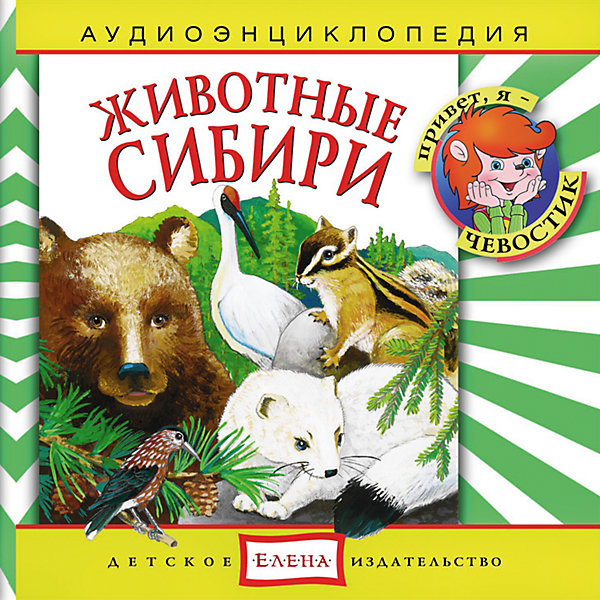 Аудиоэнциклопедия Животные Сибири, CD Аудиоэнциклопедия Животные Сибири, CDАудиокниги, DVD и CD<br>Характеристики:<br><br>• возраст: от 4 лет<br>• издательство: Детское издательство Елена<br>• серия: Аудиоэнциклопедия. Уроки дяди Кузи и Чевостика<br>• авторы: Тамара Николаева, Наталья Манушкина<br>• текст читают: Таисия Аведикова, Дмитрий Столбцов<br>• формат: Audio CD<br>• звук: стерео<br>• год издания: 2003<br>• количество дисков: 1<br>• время звучания: 56:57 мин.<br>• размер: 14,5х12,5х0,9 см.<br>• вес: 110 гр.<br>• ISBN: 4607162120360<br><br>Весёлый музыкальный спектакль в лёгкой и доступной форме расскажет ребёнку об удивительных обитателях бескрайних просторов Сибири. Познакомит с голосами животных, особенностями их поведения и наиболее характерными повадками. Любознательные герои - Чевостик и Дядя Кузя - найдут простые и интересные объяснения даже самым сложным вопросам.<br><br>Текст сопровождается звуками живой природы и фоновой музыкой.<br><br>Аудиоэнциклопедию «Животные Сибири» можно купить в нашем интернет-магазине.<br><br>Ширина мм: 145<br>Глубина мм: 125<br>Высота мм: 9<br>Вес г: 110<br>Возраст от месяцев: 36<br>Возраст до месяцев: 144<br>Пол: Унисекс<br>Возраст: Детский<br>SKU: 7087809