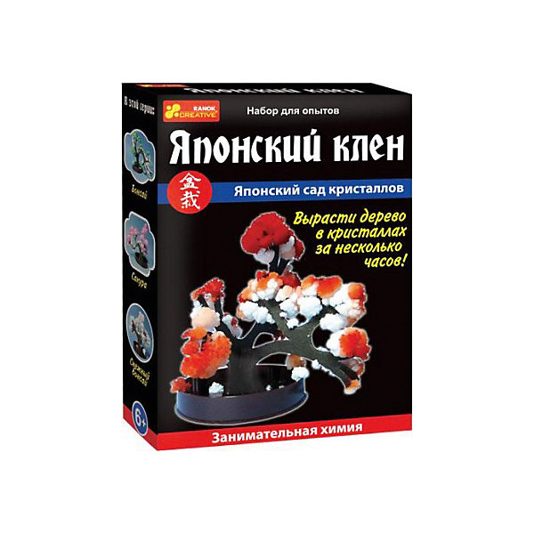 Набор для опытов Японский клен Набор для опытов Японский кленВыращивание кристаллов<br>Характеристики товара:<br><br>• возраст: от 8 лет;<br>• цвет: красно-белый;<br>• материал: жидкие кристаллы, картон, пластик;<br>• размер упаковки: 14х10х3 см.;<br>• упаковка: картонная коробка;<br>• вес в упаковке: 40 гр.;<br>• бренд, страна: Ranok Creative, Украина.<br><br>Набор для опытов «Японский клен» от бренда Ranok Creative - развлечет ребенка и познакомит его с некоторыми физико-химическими явлениями. <br><br>Набор позволяет вырастить миниатюрное дерево с кристаллами вместо листьев. Благодаря особым химическим реакциям, протекающим между веществами, на свет появляется настоящее чудо природы, которое в живом мире создается в течение миллионов лет. <br><br>Данный набор содержит подставку, держатель, жидкость для выращивания кристаллов и картонное деревце. Он станет отличным подарком для юных любителей химии и различных экспериментов.<br><br>Рекомендуемый возраст: от 8 лет, под наблюдением взрослых.<br><br>Набор для опытов «Японский клен», Ranok Creative можно купить в нашем интернет-магазине.<br><br>Ширина мм: 100<br>Глубина мм: 30<br>Высота мм: 140<br>Вес г: 40<br>Возраст от месяцев: 96<br>Возраст до месяцев: 192<br>Пол: Унисекс<br>Возраст: Детский<br>SKU: 7252967