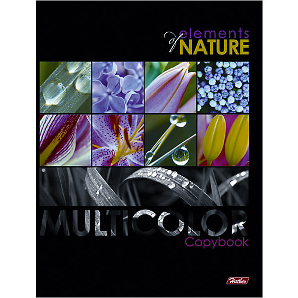 Тетрадь на кольцах А5 240л. (3 блока) Multicolor Тетрадь на кольцах А5 240л. (3 блока) MulticolorБумажная продукция<br>Характеристики:<br><br>• количество: 240 листов.;<br>• материал блока: офсетная бумага;<br>• тип обложки:твердый картон;<br>• формат: А5;<br>• вес: 600г.;<br>• для детей в возрасте: от 6 лет.;<br>• страна производитель:Россия.<br><br>Тетрадь на кольцах «Multicolor»(Мультиколор), бренда «Hatber» (Хатбер) станет отличным приобретением для старшеклассников. Она создана из высококачественных, экологически чистых материалов, что очень важно для детских товаров.<br><br> Тетрадь имеет красочную обложку и три блока по восемьдесят листов с линовкой в клетку. Каждый блок выполнен из офсетной бумаги и скреплён кольцами, что без труда позволяет отсоединять уже использованные и добавлять новые листы. Её хорошо использовать для записи большого объёма информации.<br><br>Ребята могут её использовать не только для выполнения школьных заданий, но и для творчества. В неё так удобно записывать интересную и полезную информацию.<br><br>Тетрадь на кольцах «Multicolor»(Мультиколор), можно купить в нашем интернет-магазине.<br><br>Ширина мм: 220<br>Глубина мм: 170<br>Высота мм: 30<br>Вес г: 600<br>Возраст от месяцев: 36<br>Возраст до месяцев: 2147483647<br>Пол: Женский<br>Возраст: Детский<br>SKU: 7338159