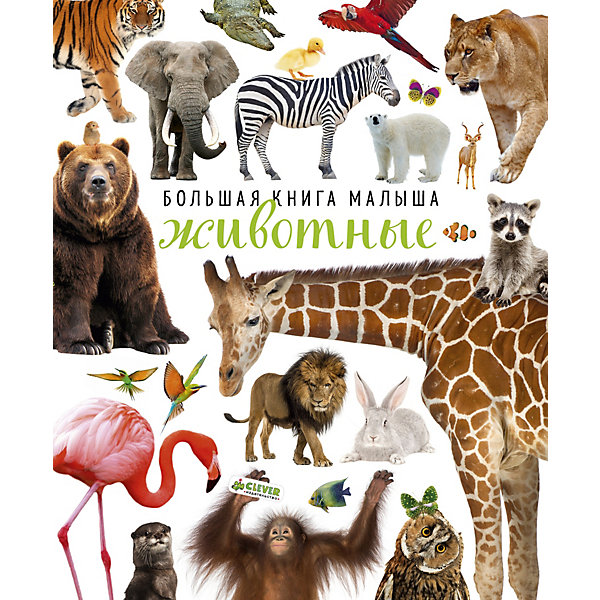Большая книга малыша Животные Большая книга малыша ЖивотныеДетские энциклопедии<br>Эта книжка обязательно понравится вам и вашему малышу! В ней собрано более 200 различных животных домашние питомцы, жители саванны, пустыни, тропиков, полюсов, морей и океанов… Рассматривайте фотографии, считайте, выполняйте задания и отвечайте на вопросы.<br><br>Ширина мм: 300<br>Глубина мм: 245<br>Высота мм: 20<br>Вес г: 438<br>Возраст от месяцев: 0<br>Возраст до месяцев: 36<br>Пол: Унисекс<br>Возраст: Детский<br>SKU: 7434298