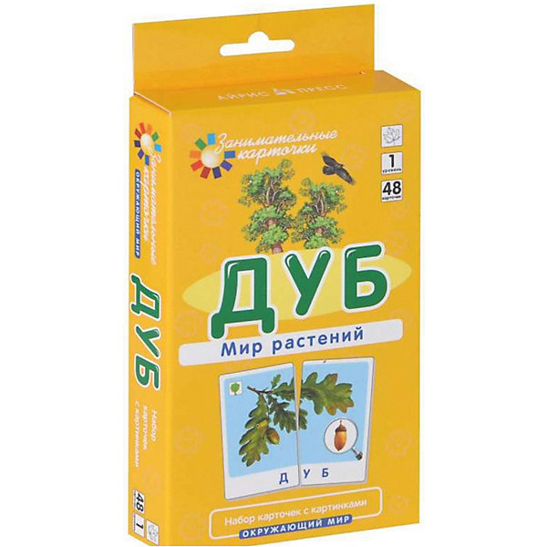 Обучающие карточки "Мир растений" Дуб, Разноцветный, Обучающие карточки "Мир растений" Дуб
Обучающие карточки "Мир растений" Дуб, Разноцветный, Обучающие карточки "Мир растений" Дуб