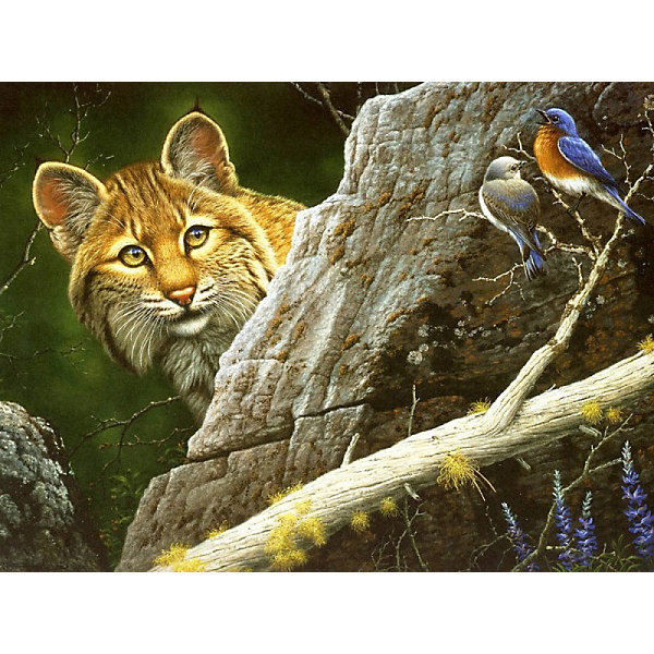 

Раскраска по номерам на картоне Color KIT "Рысь", 30х40 см, Разноцветный